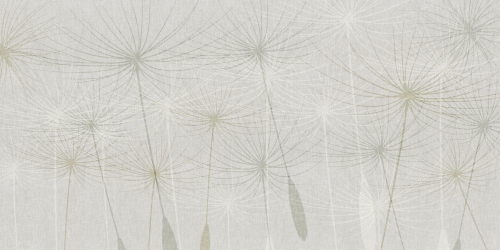Dandelion-SS020-1.jpg
