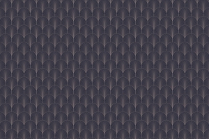 Tapeta RIMURA Delaware VE051-1
