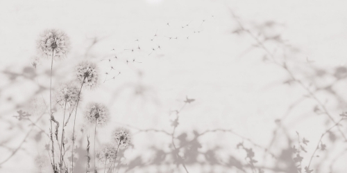 Desiderio-AP201-3.jpg