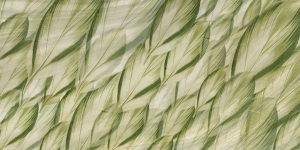 Tapeta RIMURA Dracaena SM006-1