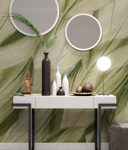 Dracaena-SM006-1..jpg