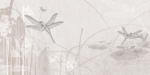 Tapeta RIMURA Dragonfly SS007-1