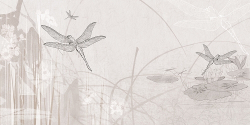 Dragonfly-SS007-1.jpg