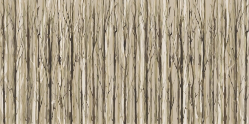 Enchanted-Forest-AP014-1.jpg