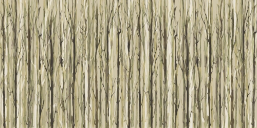 Enchanted-Forest-AP014-2.jpg