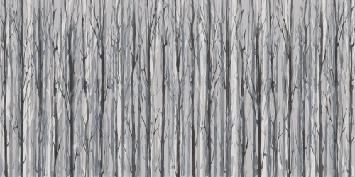 Enchanted-Forest-AP014-3.jpg