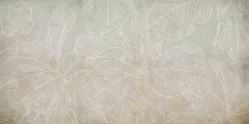 Ficus-SM011-1.jpg