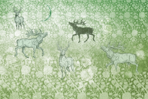 Foresta-AF006-1.jpg