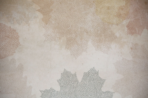Fossil-VE028-1.jpg