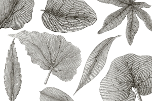 Tapeta RIMURA Giant Leaves VE062-1