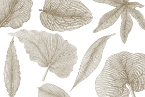 Tapeta RIMURA Giant Leaves VE062-2