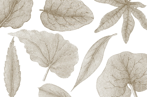 Tapeta RIMURA Giant Leaves VE062-2