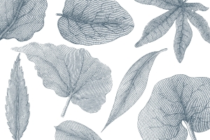 Tapeta RIMURA Giant Leaves VE062-3