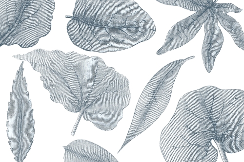 Giant-Leaves-VE062-3.jpg