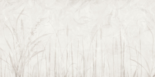 Ivory-AP011-1.jpg