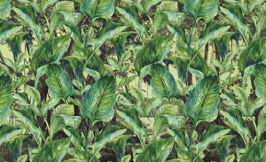 Tapeta RIMURA Jungle VE068-1