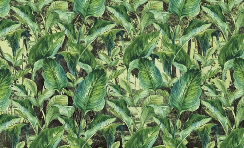Jungle-VE068-1.jpg