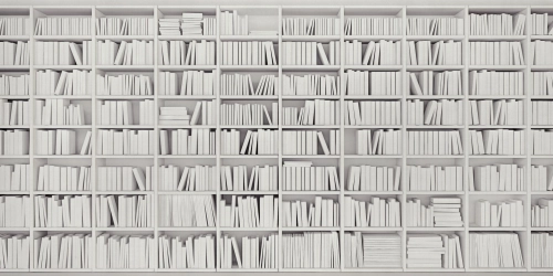Library-VE098-1.jpg