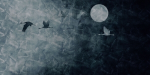 Tapeta RIMURA Murk VE086-2