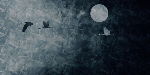 Tapeta RIMURA Murk VE086-2