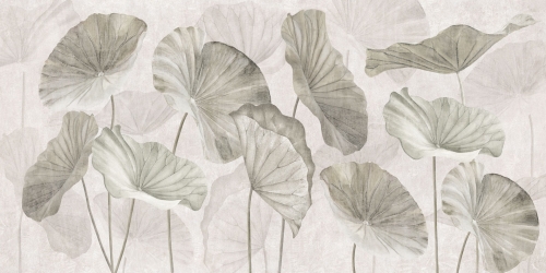 Nelumbo-VE187-1.jpg