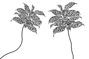 Tapeta RIMURA Oasis VE063-1