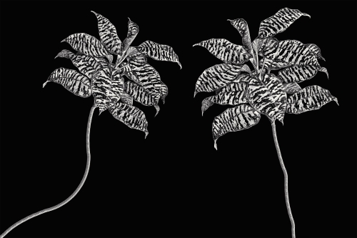 Tapeta RIMURA Oasis VE063-2