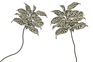 Tapeta RIMURA Oasis VE063-3