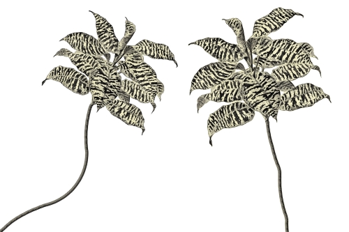 Tapeta RIMURA Oasis VE063-3