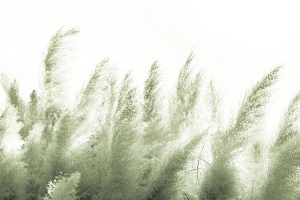 Tapeta RIMURA Pampas VE064-1