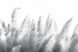 Tapeta RIMURA Pampas VE064-2