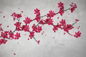 Tapeta RIMURA Primavera VE002-2