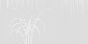 Tapeta RIMURA Pure Blooms AP096-1