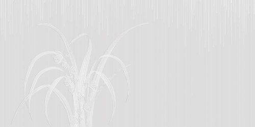 Pure-Blooms-AP096-1.jpg