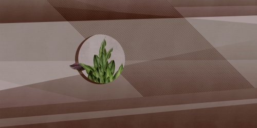 Subtelna-tapeta-RIMURA-z-elementami-natury.jpg