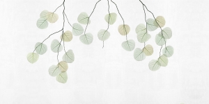 Tapeta RIMURA Skeleton leaf VE161-1