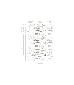 Wallcolors Tapeta Cars White