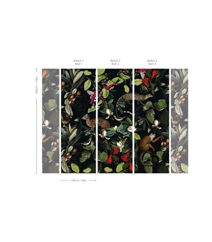 tapeta-the-jungle-book-black (3).jpg