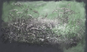 Tapeta Wonderwall Erbe 35 0638 08