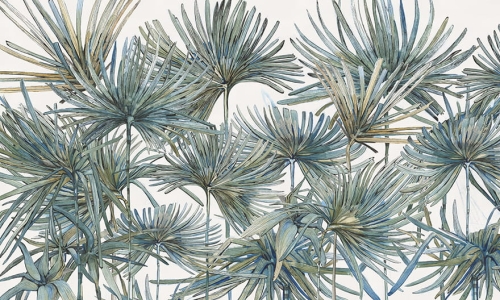 wonderwall-tapeta-komodo-liście-palmowe.jpg