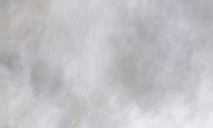 Tapeta Wonderwall  Pianta 35 0568 11