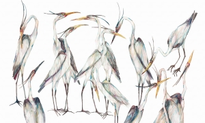 Tapeta Wonderwall Jawa 35 0573 00