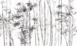 Tapeta Wonderwall Jawa 35 0573 10