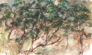 Tapeta Wonderwall Taria 35 0648 00