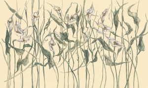 Tapeta Wonderwall Amanda  35 0324 00