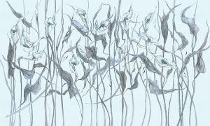 Tapeta Wonderwall Amanda  35 0324 03