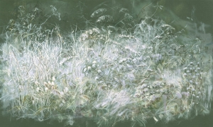 Tapeta Wonderwall Feronia 35 0635 08