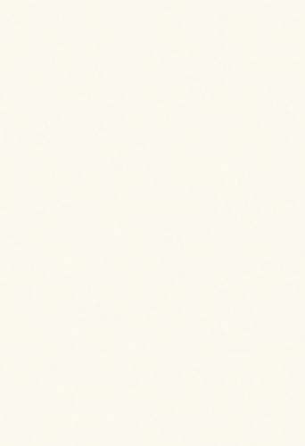 Neolith Colorfeel Just White.jpg