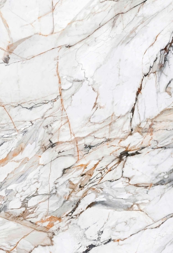 NeoLith The New Classtone Blanco Calacatta Luxe.jpg