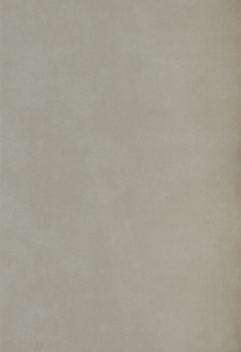 Neolith Fusion Phedra.jpg